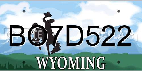 BO7D522 Wyoming License Plate