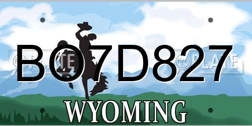 BO7D827 Wyoming License Plate