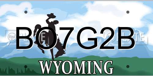 BO7G2B Wyoming License Plate