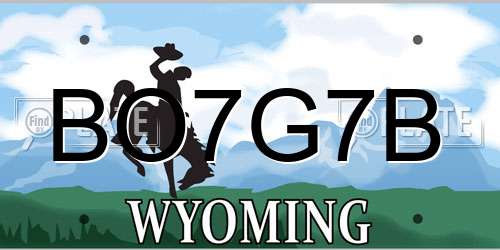 BO7G7B Wyoming License Plate