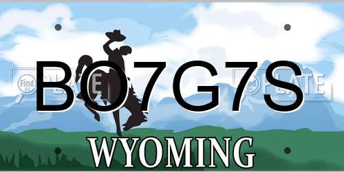 BO7G7S Wyoming License Plate