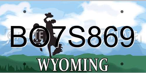 BO7S869 Wyoming License Plate