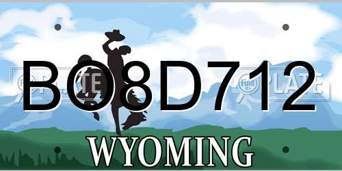 BO8D712 Wyoming License Plate