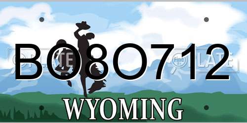 BO8O712 Wyoming License Plate