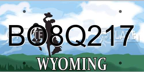 BO8Q217 Wyoming License Plate