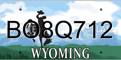 BO8Q712 Wyoming License Plate