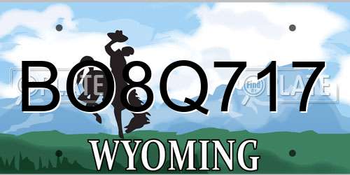 BO8Q717 Wyoming License Plate