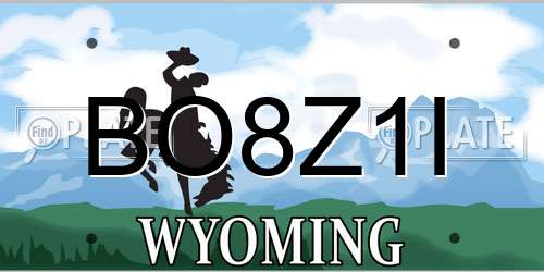 BO8Z1I Wyoming License Plate