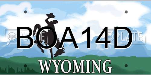BOA14D Wyoming License Plate