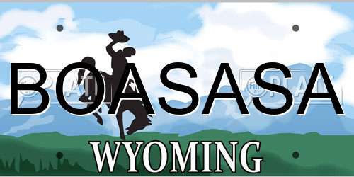 BOASASA Wyoming License Plate