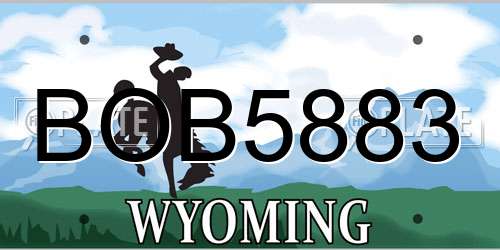 BOB5883 Wyoming License Plate