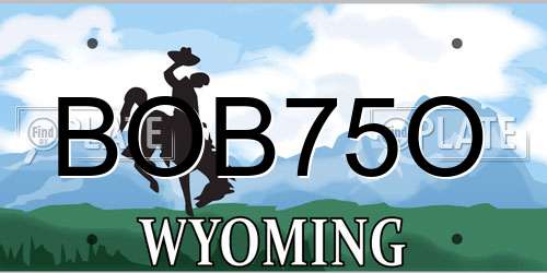 BOB75O Wyoming License Plate