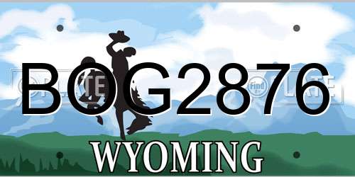 BOG2876 Wyoming License Plate