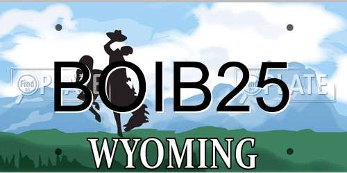 BOIB25 Wyoming License Plate