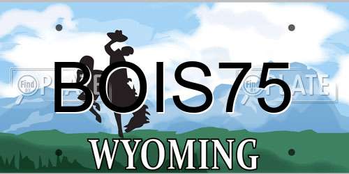 BOIS75 Wyoming License Plate