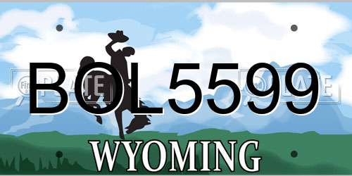 BOL5599 Wyoming License Plate
