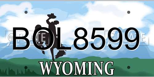 BOL8599 Wyoming License Plate