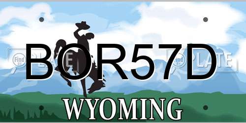 BOR57D Wyoming License Plate