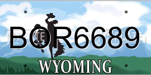 BOR6689 Wyoming License Plate