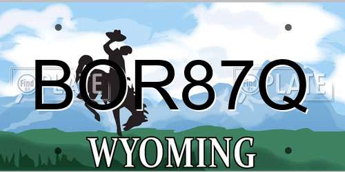 BOR87Q Wyoming License Plate