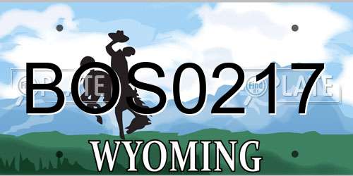 BOS0217 Wyoming License Plate