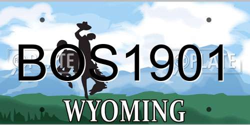 BOS1901 Wyoming License Plate