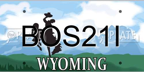 BOS21I Wyoming License Plate