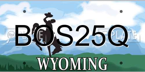 BOS25Q Wyoming License Plate