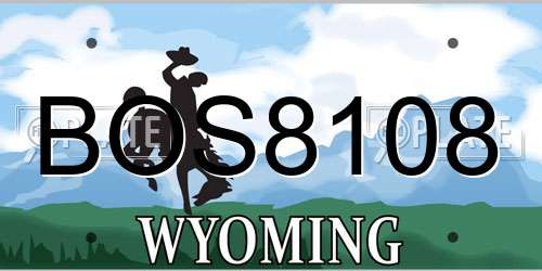 BOS8108 Wyoming License Plate