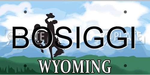 BOSIGGI Wyoming License Plate