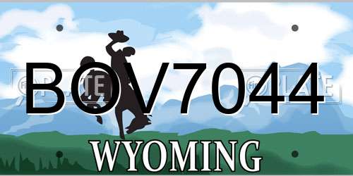 BOV7044 Wyoming License Plate