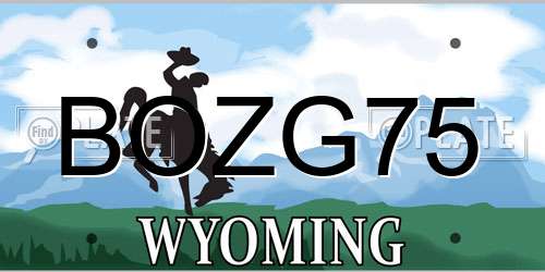 BOZG75 Wyoming License Plate