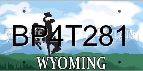 BP4T281 Wyoming License Plate
