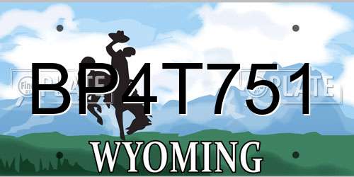 BP4T751 Wyoming License Plate