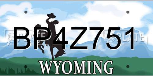 BP4Z751 Wyoming License Plate