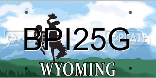 BPI25G Wyoming License Plate