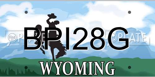 BPI28G Wyoming License Plate