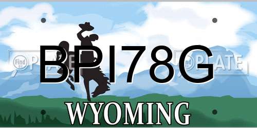BPI78G Wyoming License Plate