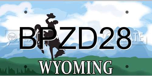 BPZD28 Wyoming License Plate