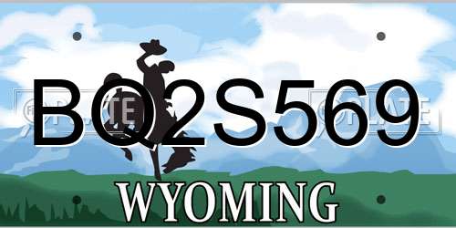 BQ2S569 Wyoming License Plate