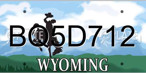 BQ5D712 Wyoming License Plate