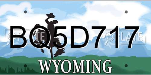 BQ5D717 Wyoming License Plate