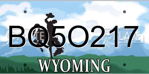 BQ5O217 Wyoming License Plate