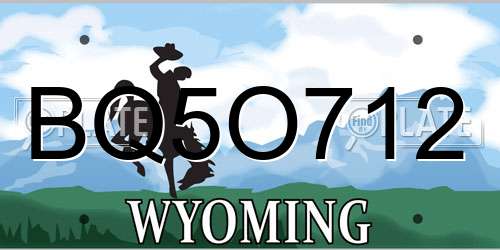BQ5O712 Wyoming License Plate
