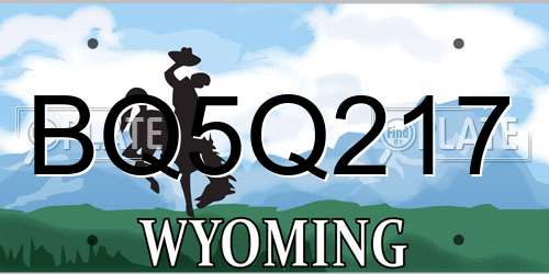 BQ5Q217 Wyoming License Plate