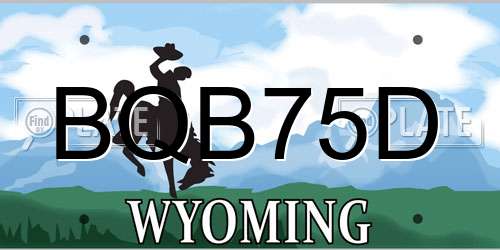 BQB75D Wyoming License Plate