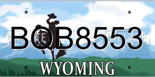 BQB8553 Wyoming License Plate