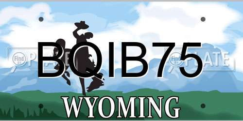 BQIB75 Wyoming License Plate