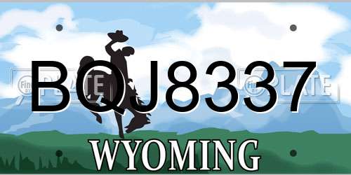 BQJ8337 Wyoming License Plate