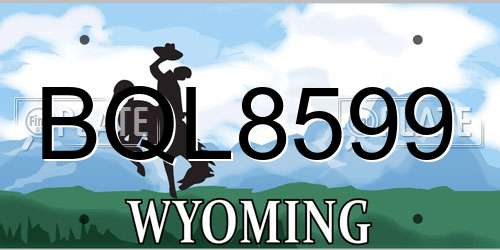 BQL8599 Wyoming License Plate